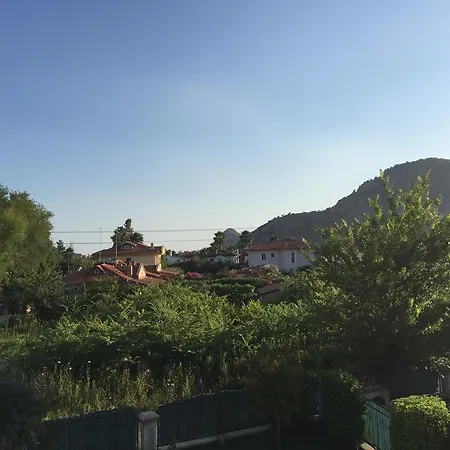 فيلة Busra